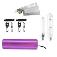 Load image into Gallery viewer, SunStream 1000 Watt HPS MH Digital Dimmable Grow Light System Kits