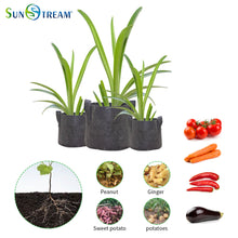 Load image into Gallery viewer, SunStream 5-Pack Heavy Duty Thickened Nonwoven Fabric Pots Grow Bags With Handles