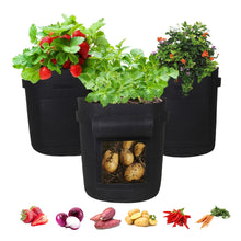 Load image into Gallery viewer, SunStream 5-Pack Breathable Fabric Potato, Vegetables Pots Grow Bags With Window Flap &amp; Handles