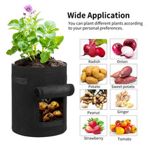 Load image into Gallery viewer, SunStream 5-Pack Breathable Fabric Potato, Vegetables Pots Grow Bags With Window Flap &amp; Handles