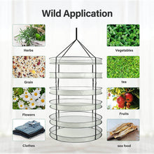 Load image into Gallery viewer, SunStream 6 Tier Collapsible Mesh Air Drying Rack Net for Herbs, Buds, Flowers and Hydroponic Plants