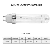 Load image into Gallery viewer, SunStream 315 Watt Ceramic Metal Halide CMH Grow Light System Kits