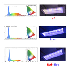 Load image into Gallery viewer, SunStream 19W Integrated Double Switch Full Spectrum LED Plant Grow Light