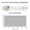 SunStream 315W Ceramic Metal Halide (CMH) Grow Light Lamp Bulb Low Heat Superior Master Color CDM